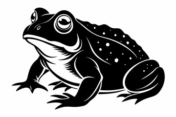american toad sihouette black vector