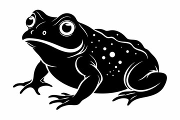 american toad sihouette black vector