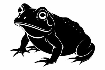 american toad sihouette black vector