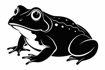 american toad sihouette black vector