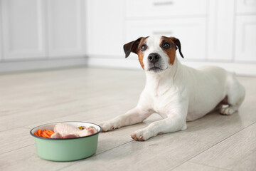 Cute dog and bowl with fresh natural products on floor at home, selective focus. Pet food