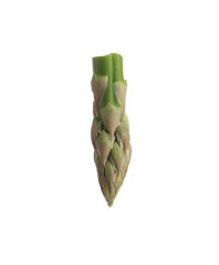 Piece of asparagus spear isolated on white
