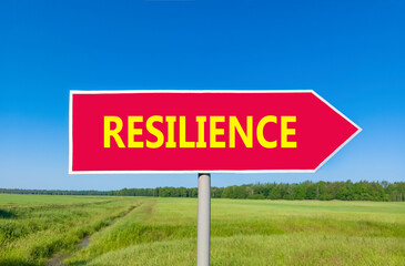 Resilience symbol. Concept word Resilience on beautiful red road sign. Beautiful blue sky green grass and forest peaceful nature background. Business resilience concept. Copy space.