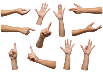 Diverse bare adult human arms and hands, fair to dark skin tones, showing open palms, pointing, and clenched fists. Isolated on a transparent seamless studio background with hyperdetailed anatomy,