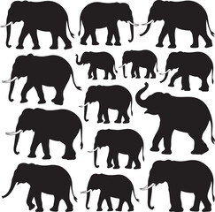 Majestic Elephant Silhouette Vector

Wild Elephant in the Jungle Design

Gentle Giant Elephant Illustration

Elephant Family Safari Silhouette

Elephant Head Vector Art