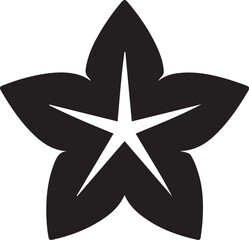 black star on white background Silhouette