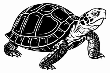 box turtle sihouette black vector