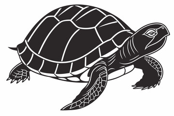 box turtle sihouette black vector