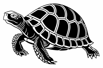 box turtle sihouette black vector