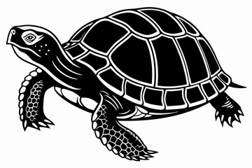 box turtle sihouette black vector