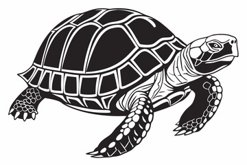 box turtle sihouette black vector