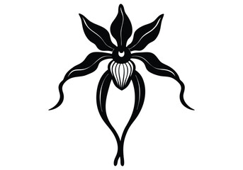 ghost orchid  silhouette flower on white background © FARZANAAKTER