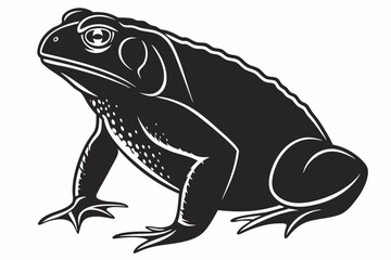cane toad silhoette black vector