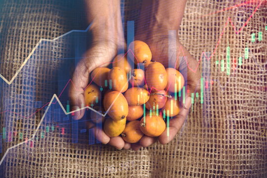 Economic crisis or appreciation in the price of food (commodities). Financial appreciation or fall in the value of shares. Stock market chart on a hand holding fruit.