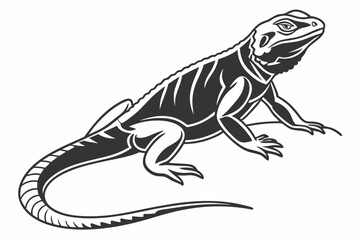 Chuckwallas sihouette black vector