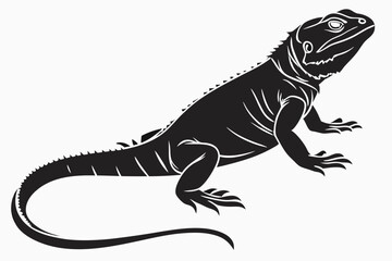 Chuckwallas sihouette black vector