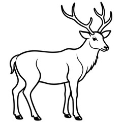 Wildlife Duo Wapiti and Vole Vector Sketch