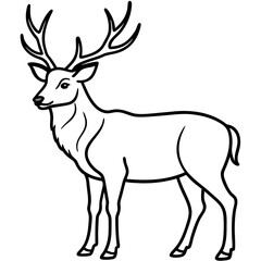 Wildlife Duo Wapiti and Vole Vector Sketch