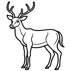 Wildlife Duo Wapiti and Vole Vector Sketch