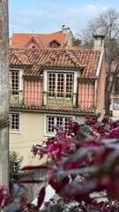 Weathered terracotta rooftops peek through whispers of crimson leaves, echoing Fado's melancholic...