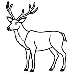 Wildlife Duo Wapiti and Vole Vector Sketch