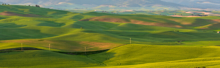 The Palouse