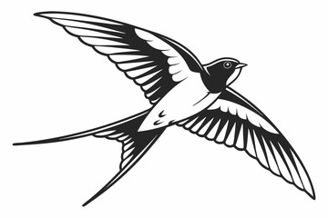 swallow sihouette black vector