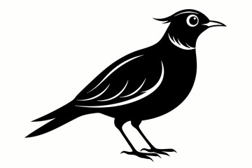 lark bird sihouette black vector