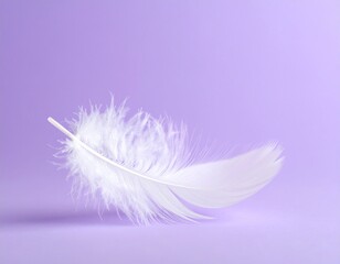 Obraz premium Soft feather on a backdrop: A pristine white feather delicately rests against a soft, pastel purple backdrop, creating a scene of tranquility and simplicity. The lighting casts subtle shadows. 
