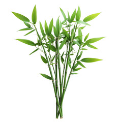 Obraz premium Lush green bamboo stalks and leaves against a black background a vibrant display of nature