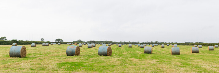 Hay time in Cumbria, bales are just being made and ready to be picked up. 