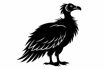 condor bird sihouette black vector