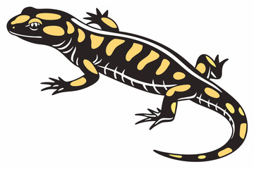 fire salamander sihouette black vector