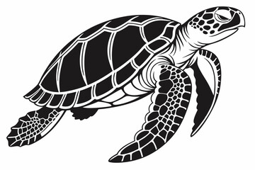 gal pagos tortoise sihouette black vector