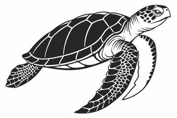 gal pagos tortoise sihouette black vector