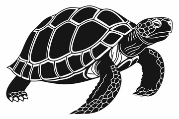 gal pagos tortoise sihouette black vector