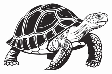 gal pagos tortoise sihouette black vector