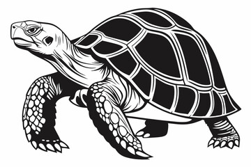 gal pagos tortoise sihouette black vector