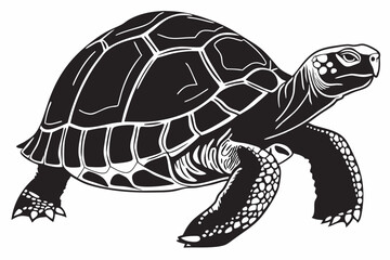 gal pagos tortoise sihouette black vector