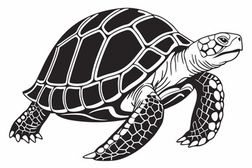 gal pagos tortoise sihouette black vector