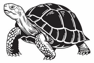 gal pagos tortoise sihouette black vector