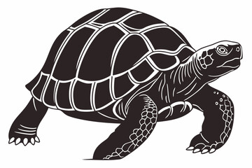 gal pagos tortoise sihouette black vector