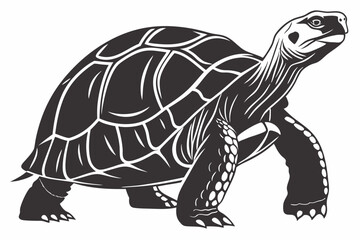 gal pagos tortoise sihouette black vector
