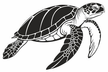 green sea turtle sihouette black vector