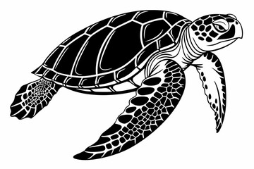 green sea turtle sihouette black vector