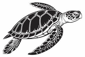 green sea turtle sihouette black vector