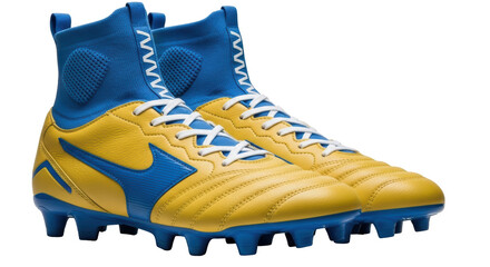 Isolated Soccer Shoes