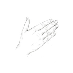 Pencil drawing woman hand. Drawing lessons.