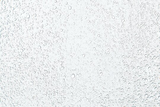 Close-up of Water Droplets on a Transparent Surface