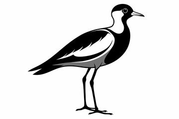 lapwing sihouette black vector